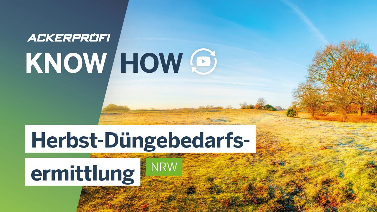  Know-how – Herbst-Düngebedarfsermittlung für NRW - Ackerprofi Bildidee 