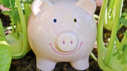 Sparschwein im Feld