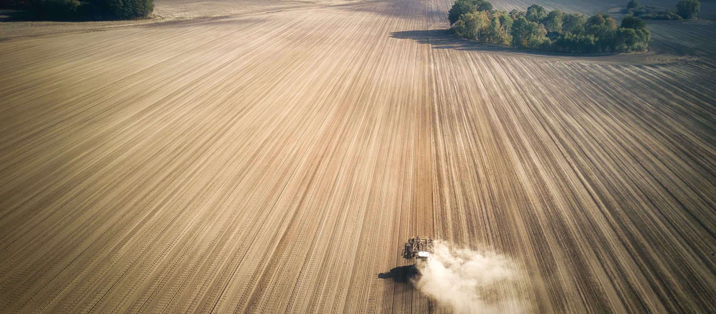 Traktor bearbeitet Feld