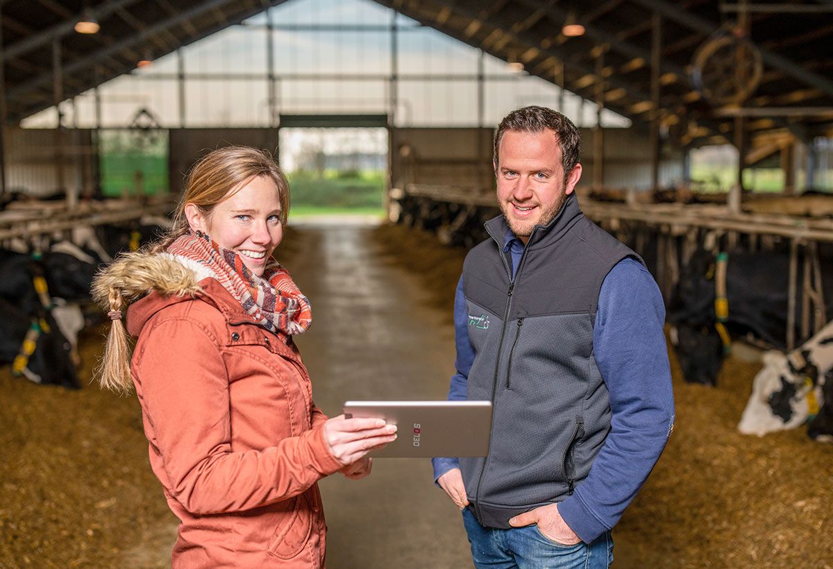 Landwirt mit Tablet wird im Kuhstall zu Software beraten