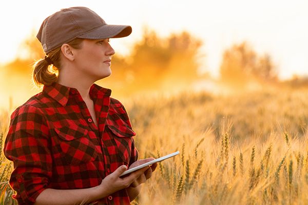 Weibliche Landwirtin steht bei Sonnenuntergang mit Tablet nachdenklich in einem Getreidefeld