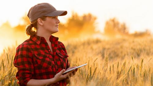 Weibliche Landwirtin steht bei Sonnenuntergang mit Tablet nachdenklich in einem Getreidefeld