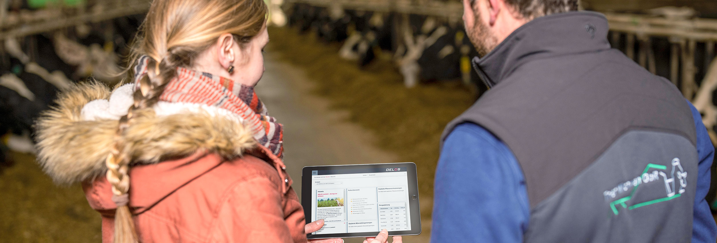 Landwirt mit Tablet wird im Kuhstall zu Software beraten