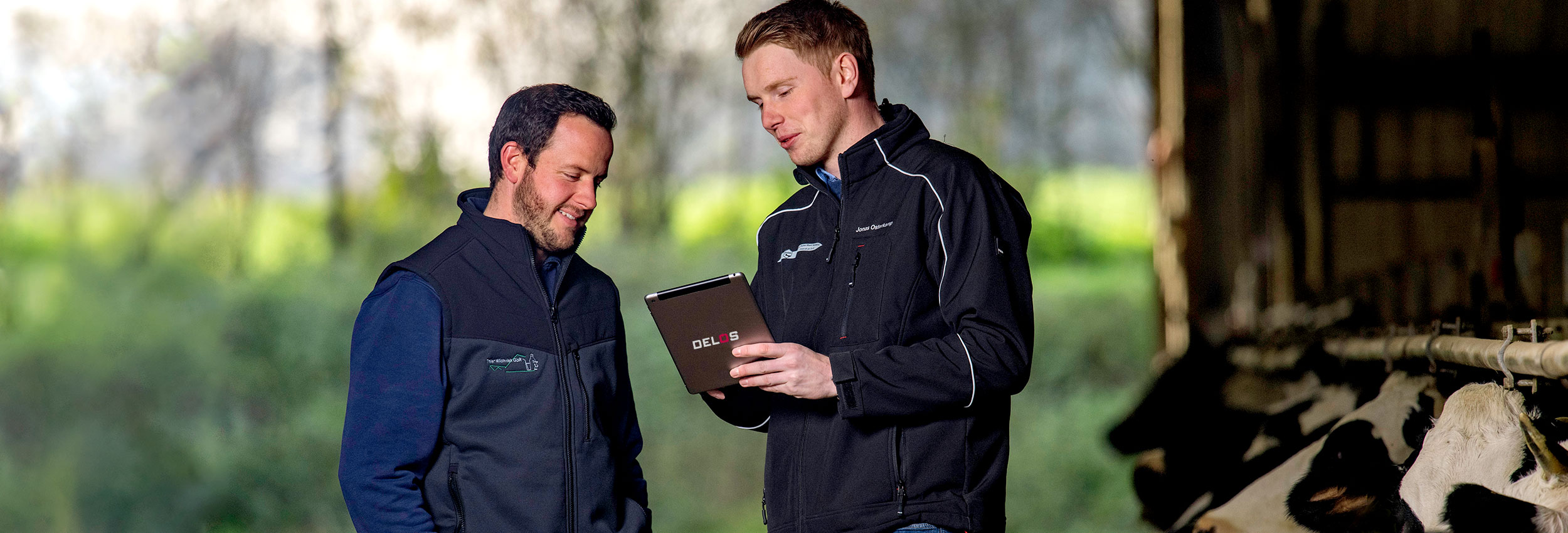 Landwirt mit Tablet wird im Kuhstall zu Software beraten